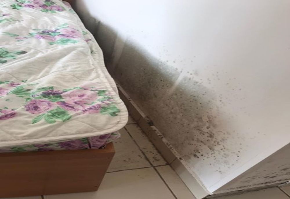 DSP Dolj a verificat centrul de carantină din Calafat