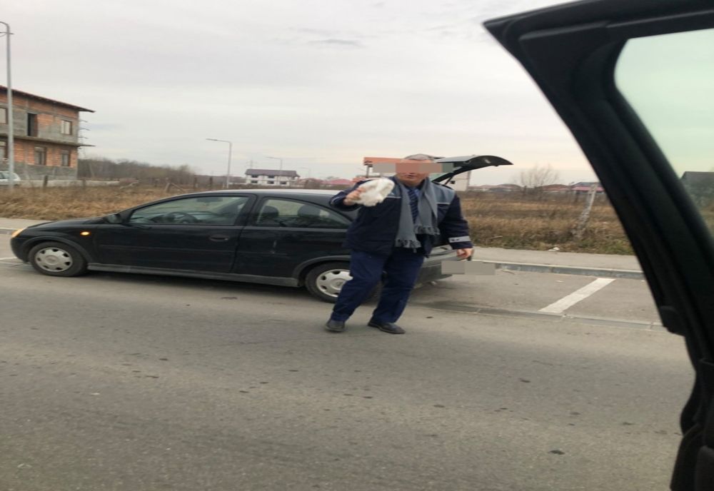 Conducerea IPJ Dolj face verificări după ce un polițist a aruncat mai mulți pisici pe marginea străzii 