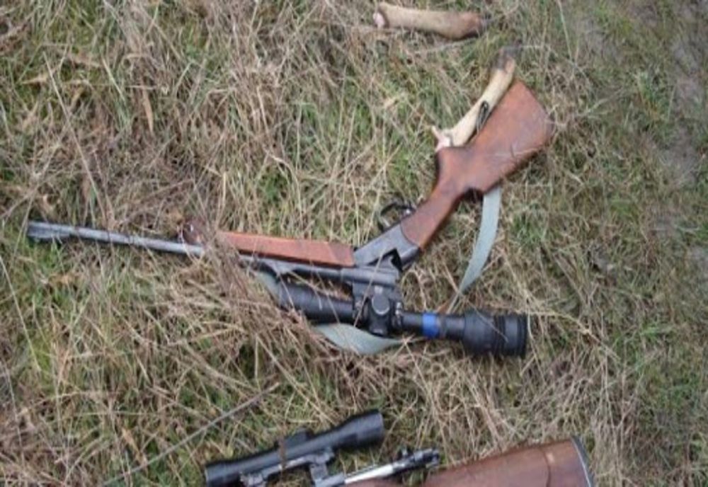 12 arme de vânătoare ridicate în urma unor descinderi. Doi doljeni sunt acuzați de braconaj
