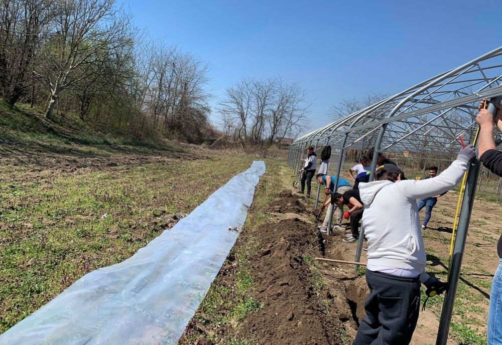 Studenții din Craiova au demarat un proiect pentru sprijinirea producătorilor locali 