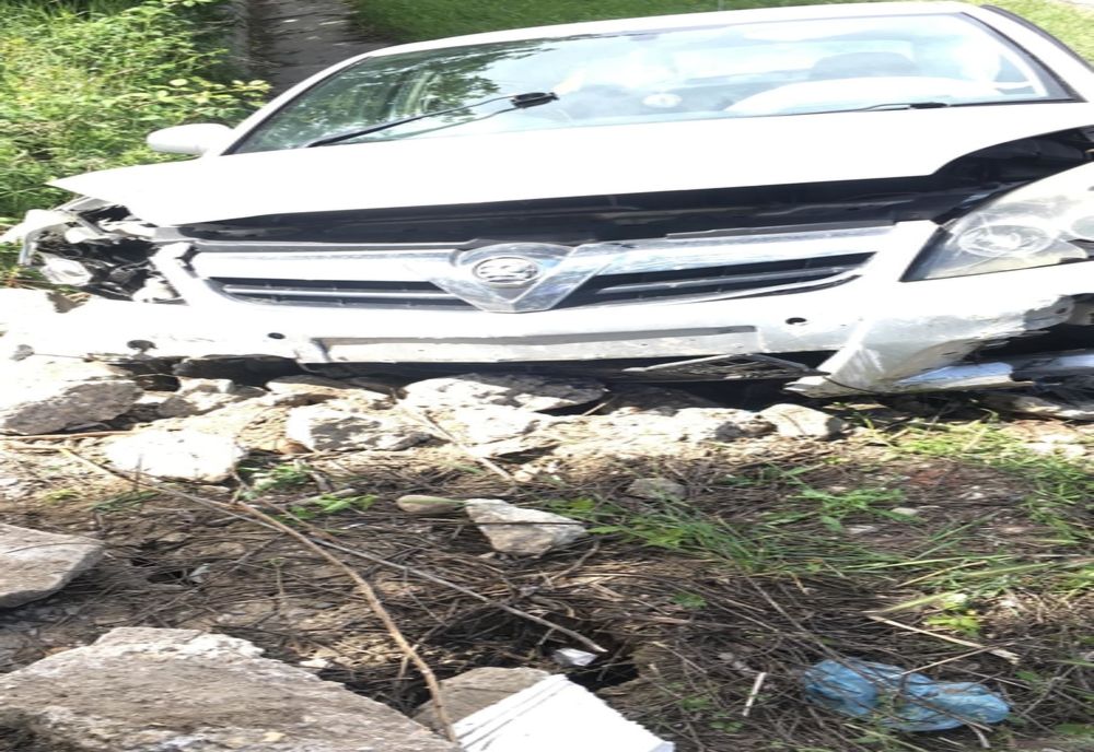 Dolj: O șoferiță a vrut să evite un fazan și a ajuns cu mașina într-un șanț