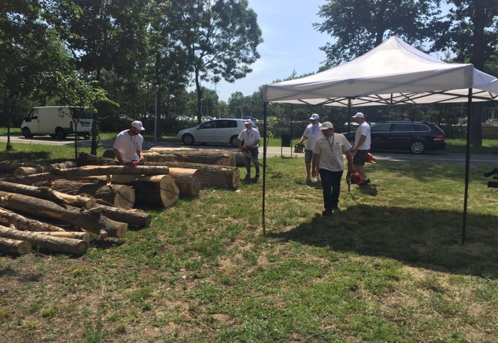 Craiova: „Story Wood Cut”, ediția  a treia. Șase sculptori și-au dat întâlnire în Parcul Tineretului   
