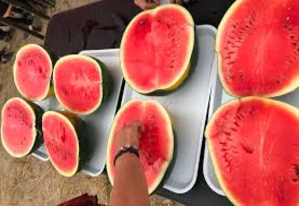 Program artistic de câteva ore în locul „Festivalului lubeniței” de la Dăbuleni 