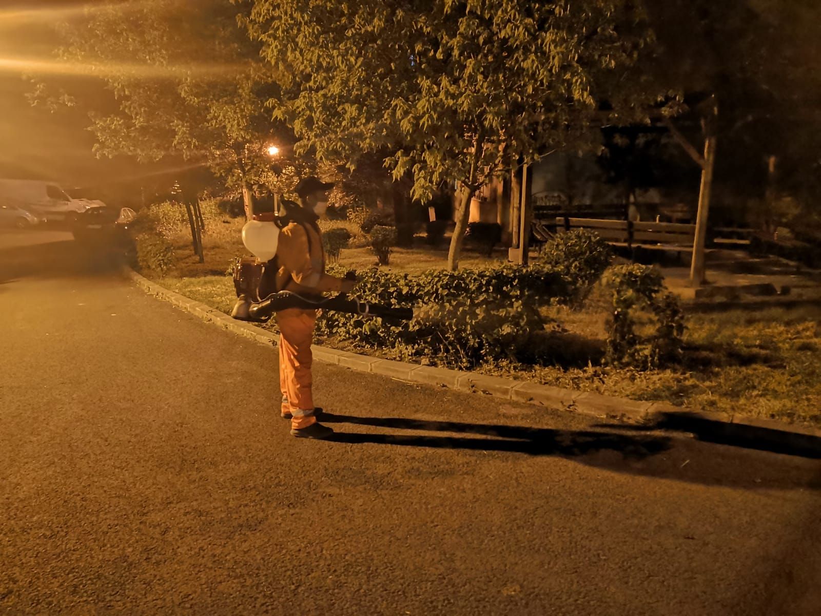 dezinsectie craiova (2)