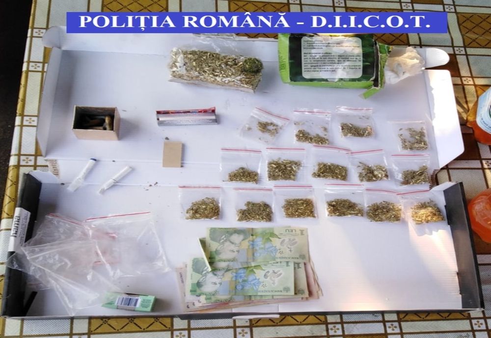 Reţea de traficanţi, destructurată de DIICOT. Percheziţii în Gorj, Dolj şi Argeş