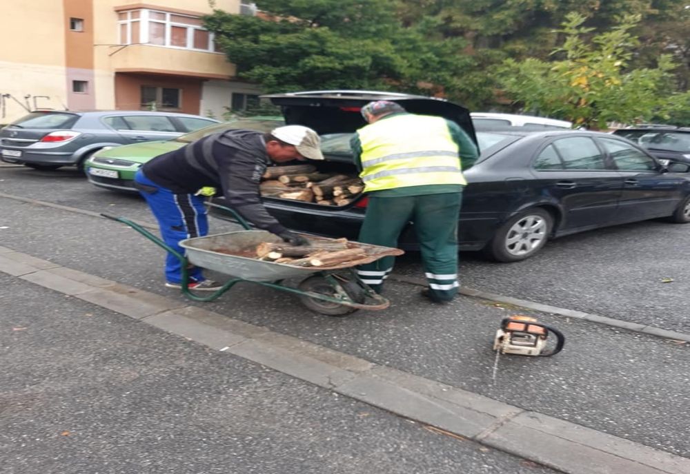 Anchetă după ce angajați ai RAADPFL Craiova au fost surprinși când încarcă lemne în portbagajul unei mașini