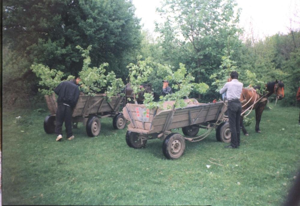 Proorul, obicei de Sfântul Gheorghe, păstrat în Oltenia