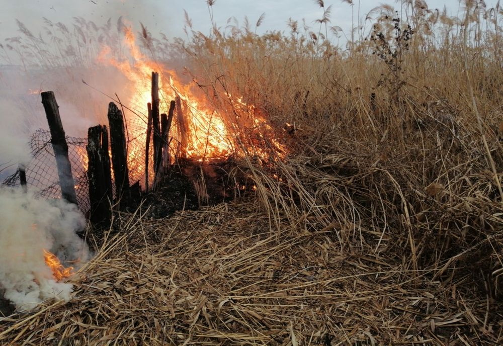 VIDEO. Incendiu într-un cartier din Craiova