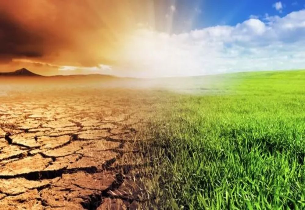 Efectele caniculei din ultimele zile - Agricultura şi construcțiile, grav afectate