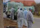 Directorul DSV Dolj, la o lună după stingerea focarului de pestă porcină din Comănicea: „Atât primarul cât și viceprimarul ne-au împiedicat în soluționarea problemei”. Inspectorii DSP Dolj puși să facă verificări