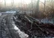 Autoritățile doljene, în război cu hoții de lemne. Fenomenul defrișării, greu de stăpânit