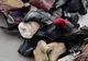 Comercianții de ocazie, de produse second hand, verificați de polițiștii locali din Craiova. Fenomenul, greu de stăpânit