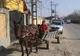 Căruțe ridicate de străzile municipiului Craiova