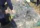 Doi tineri doljeni, cercetați după ce au fost prinși la pescuit în perioada de prohibiție