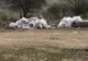 VIDEO/ Se decide constructorul pentru stadionul de atletism din Craiova. Când ar trebui să fie gata lucrările