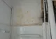 FOTO. Imagini de groază din clădirea unde a fost mutată Clinica de Hematologie Craiova