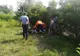 O femeie din județul Dolj s-a înecat în Jiu. Polițiștii verifică dacă a fost accident sau sinucidere