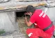 FOTO. Trei câini au fost salvați de pompieri. S-a intervenit în Craiova și Segarcea