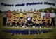 Meci de Liga a IV-a din Dolj, pierdut de o echipă a cărei jucători şi oficiali au preferat să meargă la nuntă