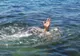 Un pescar a murit înecat în râul Jiu, la barajul de la Ișalnița