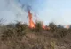 Dolj: Incendiu de vegetaţie uscată de mai bine de 24 de ore. Focul s-a întins pe 80 de hectare
