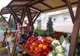 Piață volantă, cinci weekenduri, la Craiova