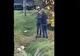 Femeie agresată în apropierea unei secţii de votare din Dolj. Agresorul, un politician din comună - VIDEO