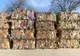 Mii de tone de deșeuri reciclabile colectate în Craiova. 200 de containere amplasate în 70 de locații din oraș