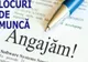 Peste 700 de locuri de muncă disponibile în județul Dolj. Cele mai multe sunt pentru confecționeri și șoferi