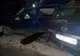 Dolj. Tânăr în vârstă de 29 de ani, mort în urma unui accident rutier 