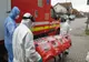Dolj: Cinci noi cazuri de coronavirus raportate