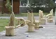 Craiova: Băncuțe ce respectă regula distanțării, realizate în cadrul taberei „Story Wood Cut”