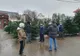 Zeci de pomi de Crăciun, confiscaţi la Craiova
