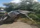 Dolj: Un tânăr de 19 ani a murit în urma accidentului de la Dobreşti