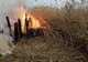 VIDEO. Incendiu într-un cartier din Craiova