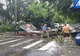 Craiova: Copaci rupţi, acoperişuri luate de vânt, parcuri închise, circulaţia tramvaielor blocată (VIDEO)