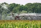 Sistemul de irigații și cel antigrindină din Dolj, extinse