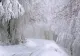 Atenționare meteo de vreme severă, începând de astăzi