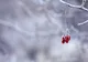 Val de aer polar peste România. Ploi și ninsori în mai multe zone din țară