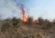Dolj: Incendiu de vegetaţie uscată de mai bine de 24 de ore. Focul s-a întins pe 80 de hectare