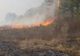 VIDEO. Incendiu de vegetație uscată într-un sat din Dolj. Pericol de extindere în pădure